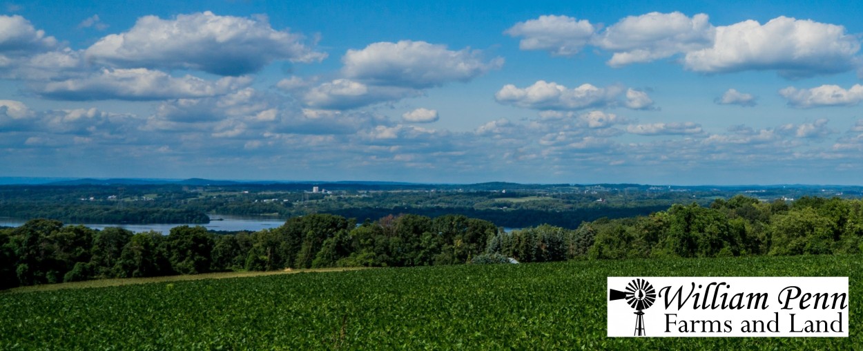 William Penn Farm and Land Division